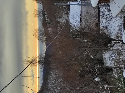 vista del giardino invernale