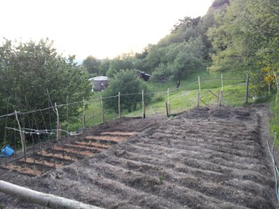 l'orto bellissimo