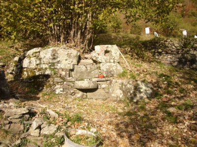 il giardino