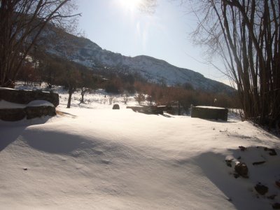 neve