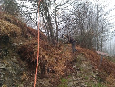 la strada