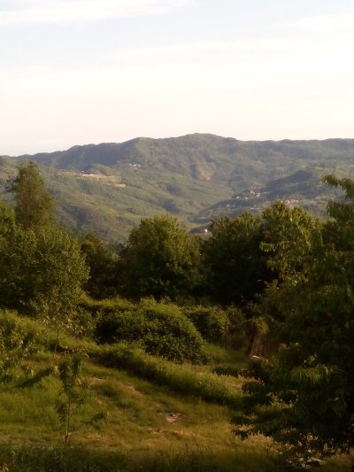 Panorama