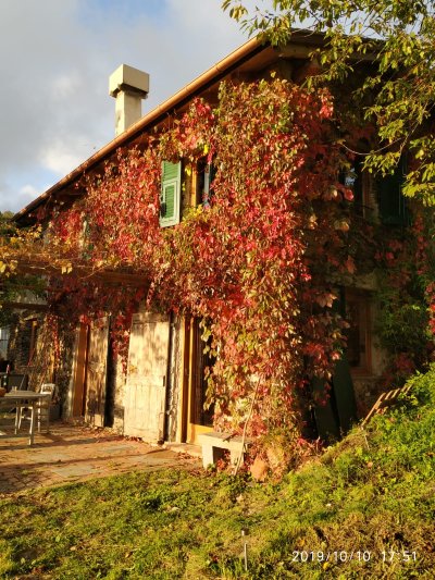 Foliage autunno