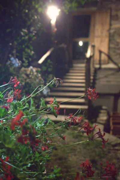 geranei notturni con scala