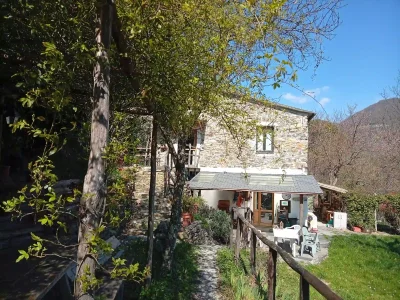 rosa banksia e casa