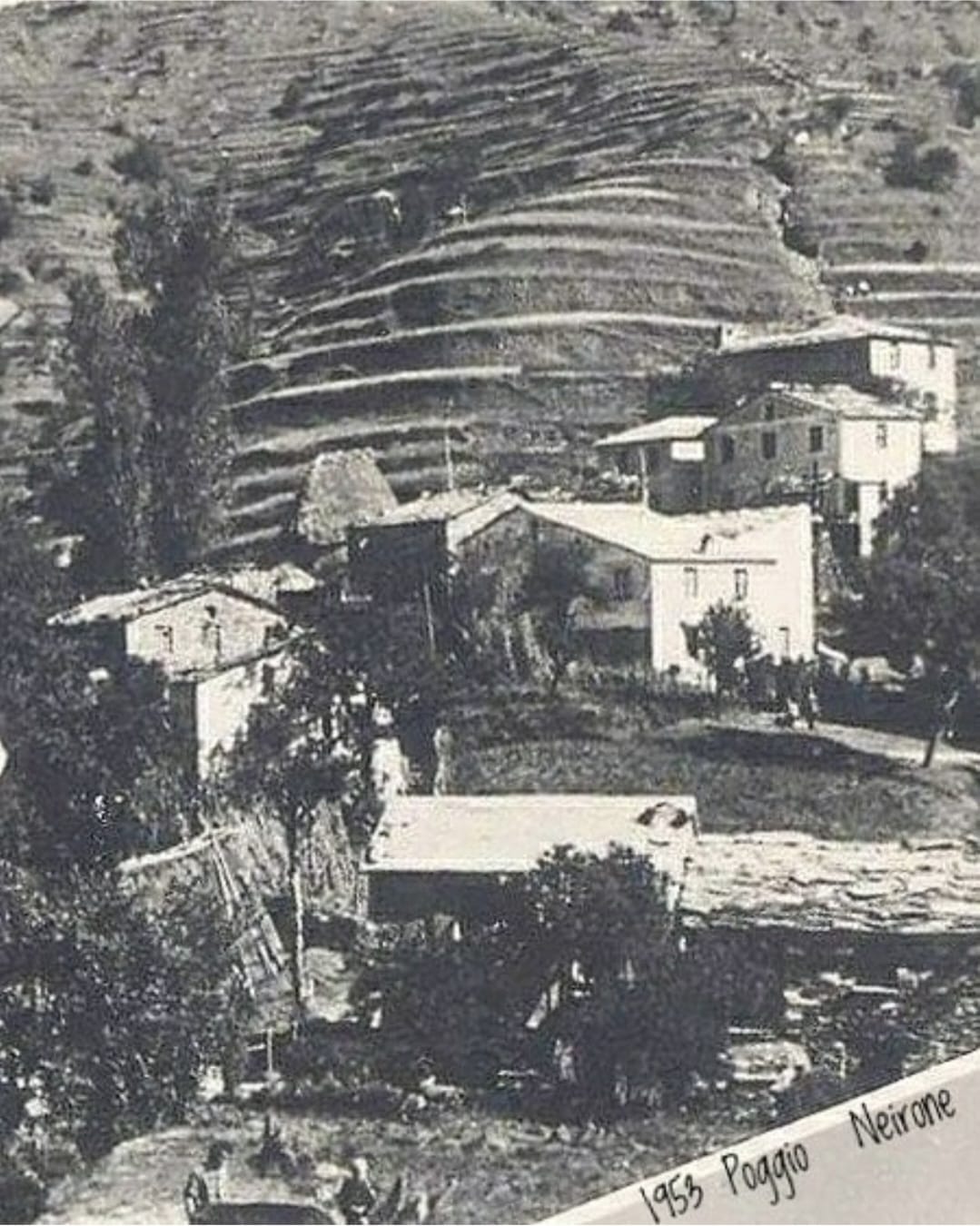 poggio neirone 1953.jpg