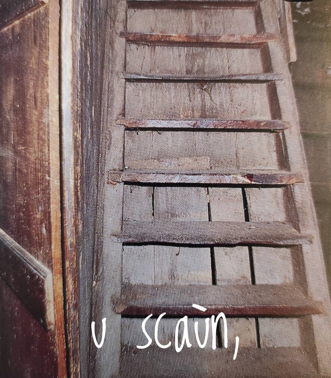 u scaun.jpg