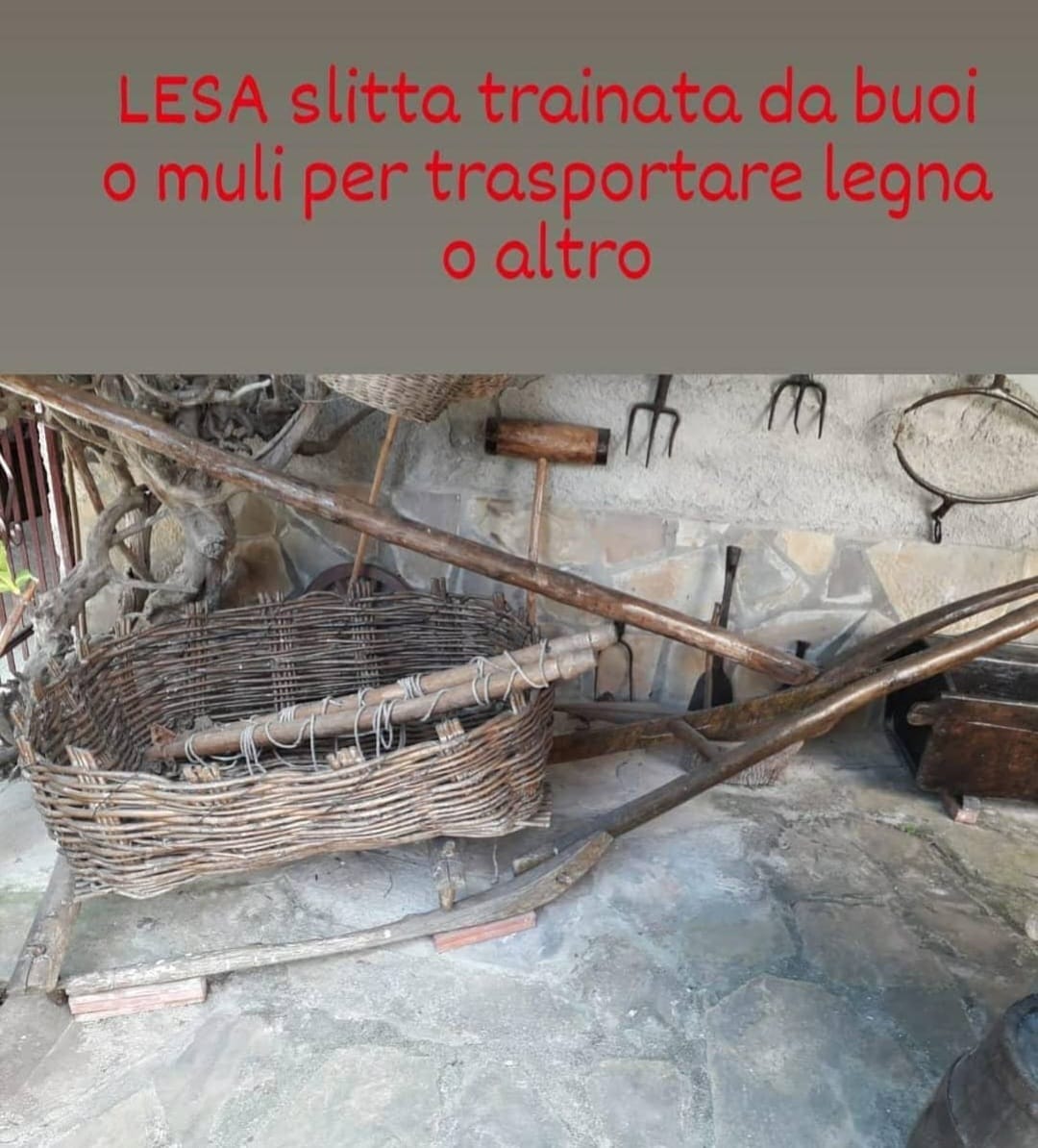 lesa (slitta).jpg